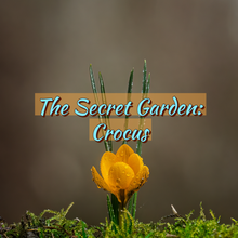 Load image into Gallery viewer, The Secret Garden Yarn Club-Spring Club