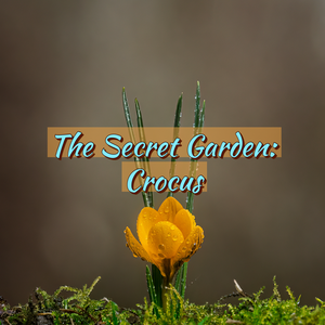 The Secret Garden Yarn Club-Spring Club