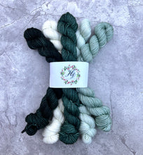 Load image into Gallery viewer, The Beast Mini Set