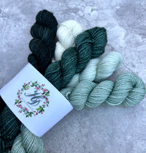 Load image into Gallery viewer, The Beast Mini Set