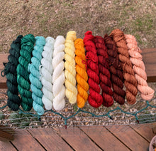 Load image into Gallery viewer, Appalachian Mountain Christmas 12 Skein Fade-Preorder