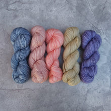 Load image into Gallery viewer, Emma Mini Skein Set